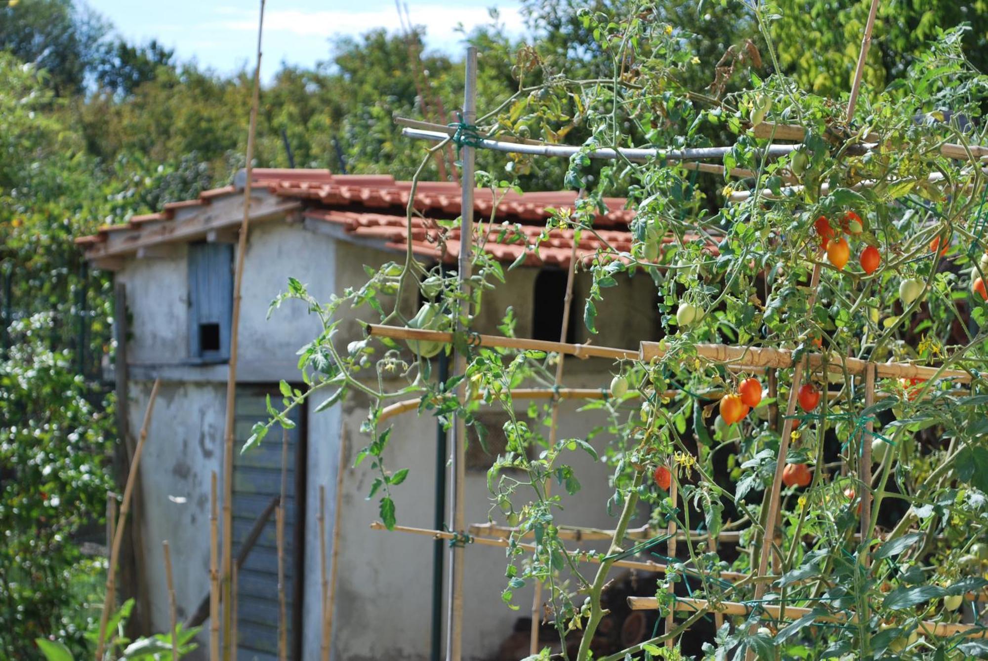 Casa S.Maria Διαμέρισμα Levane Εξωτερικό φωτογραφία